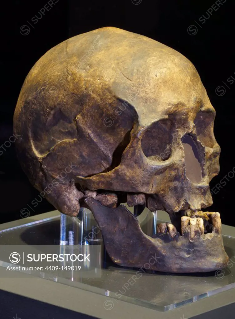 PIECES OF THE EXHIBITION "ART WITHOUT ARTISTS": REPLICA OF SKULL AND JAW OF CRO-MAGNON MAN, ORIGINAL FROM CAVE OF CHANCELADE (FRANCE), 30000 YEARS.