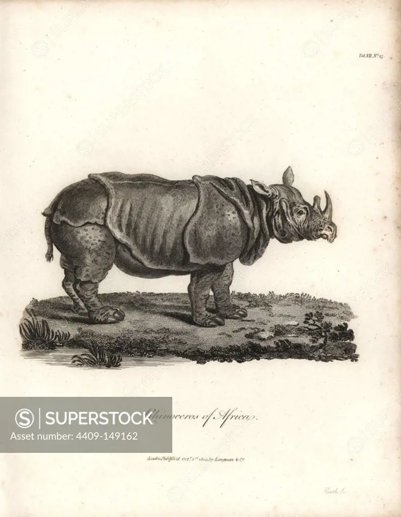 Black rhinoceros or hook-lipped rhinoceros, Diceros bicornis. Copperplate engraving from James Bruce's "Travels to Discover the Source of the Nile, in the years 1768, 1769, 1770, 1771, 1772 and 1773," London, 1790. James Bruce (1730-1794) was a Scottish explorer and travel writer who spent more than 12 years in North Africa and Ethiopia. Engraved by Heath after an original drawing by Bruce.