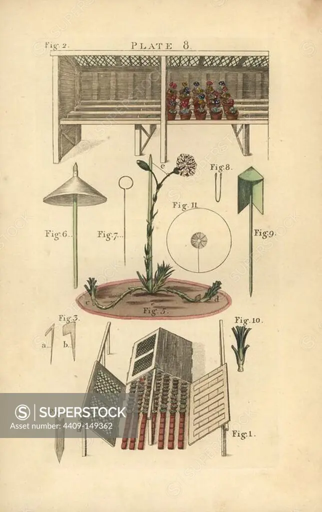 Winter frame 1, stage for auriculas 2, fern peg 3, notched stake 4, carnation pot 5, paper cap 6, brass wire 7, wire nippers 8, shade 9, carnation piping 10, and card protector for a Pink blossom 11. Handcoloured copperplate engraving from James Maddock's "The Florist's Directory," London, John Harding, 1810. New edition improved by Samuel Curtis, whose sister married James Maddock junior.