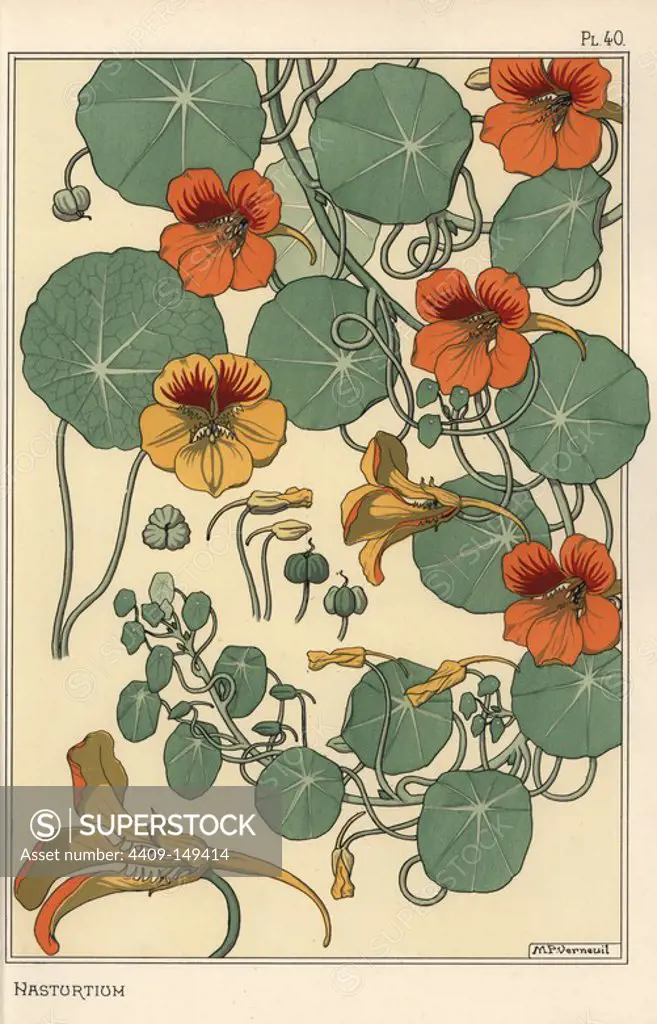 Nasturtium botanical study. Lithograph by M. P. Verneuil with pochoir (stencil) handcoloring from Eugene Grasset's Plants and their Application to Ornament, Paris, 1897. Eugene Grasset (1841-1917) was a Swiss artist whose innovative designs inspired the art nouveau movement at the end of the 19th century.