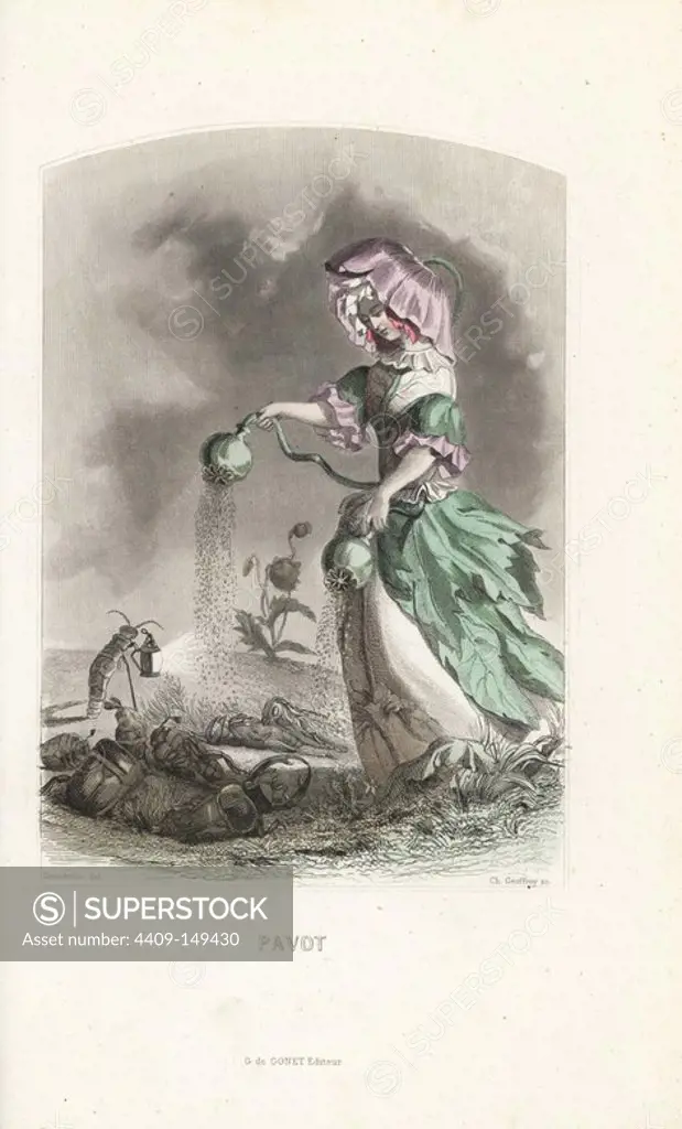 Opium poppy flower fairy, Papaver somniferum, in flower bonnet and dress of leaves sprinkling opium from seed pods onto drugged beetles and crickets. Handcoloured steel engraving by C. Geoffrois after an illustration by Jean Ignace Isidore Grandville from "Les Fleurs Animees," Paris, Gabriel de Gonet, 1847.