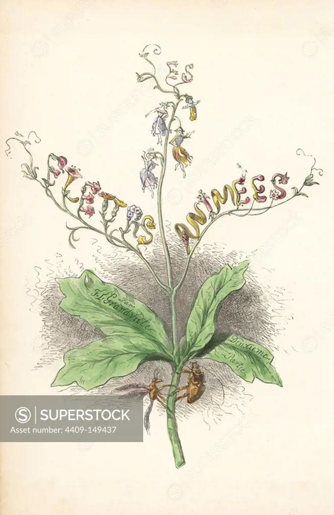 Title page illustration with flower fairies hanging and flowers forming letters on a plant. Beetle and dragonfly on the stalk. Handcoloured steel engraving by C. Geoffrois after an illustration by Jean Ignace Isidore Grandville from "Les Fleurs Animees," Paris, Gabriel de Gonet, 1847.