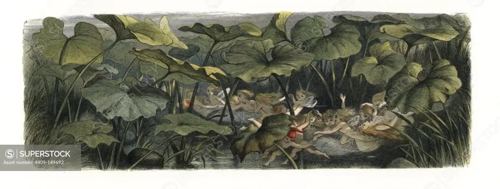 Wood elves and fairies at play. Handcoloured woodblock print by Edmund Evans after an illustration by Richard Doyle from In Fairyland, a series of Pictures from the Elf World, Longman, London, 1870.