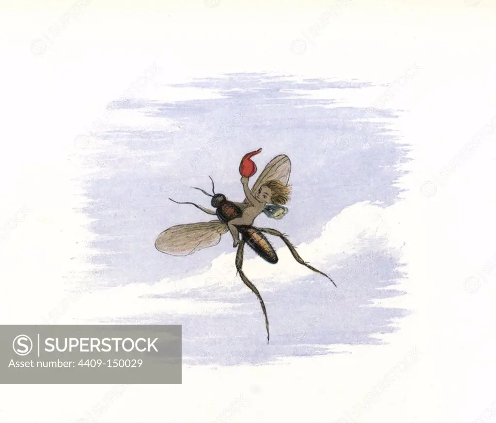 An elf flying away on an insect. Handcoloured woodblock print by Edmund Evans after an illustration by Richard Doyle from In Fairyland, a series of Pictures from the Elf World, Longman, London, 1870.