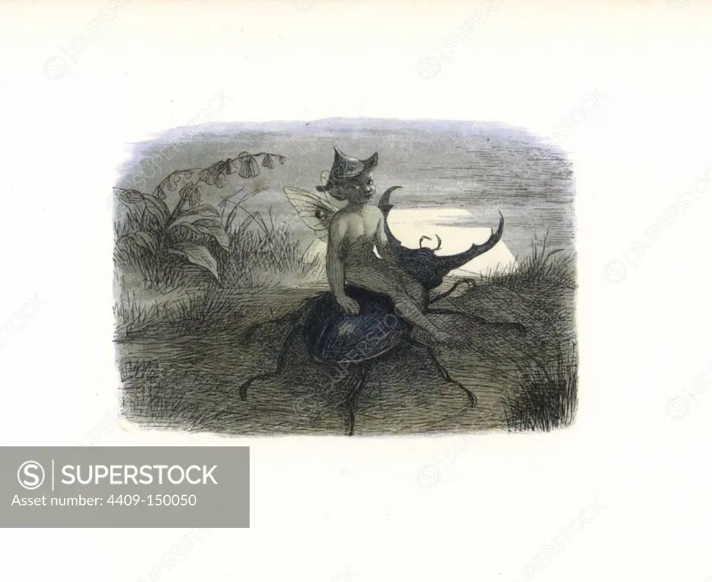 The fairy queen's messenger riding on a stag beetle. Handcoloured woodblock print by Edmund Evans after an illustration by Richard Doyle from In Fairyland, a series of Pictures from the Elf World, Longman, London, 1870.