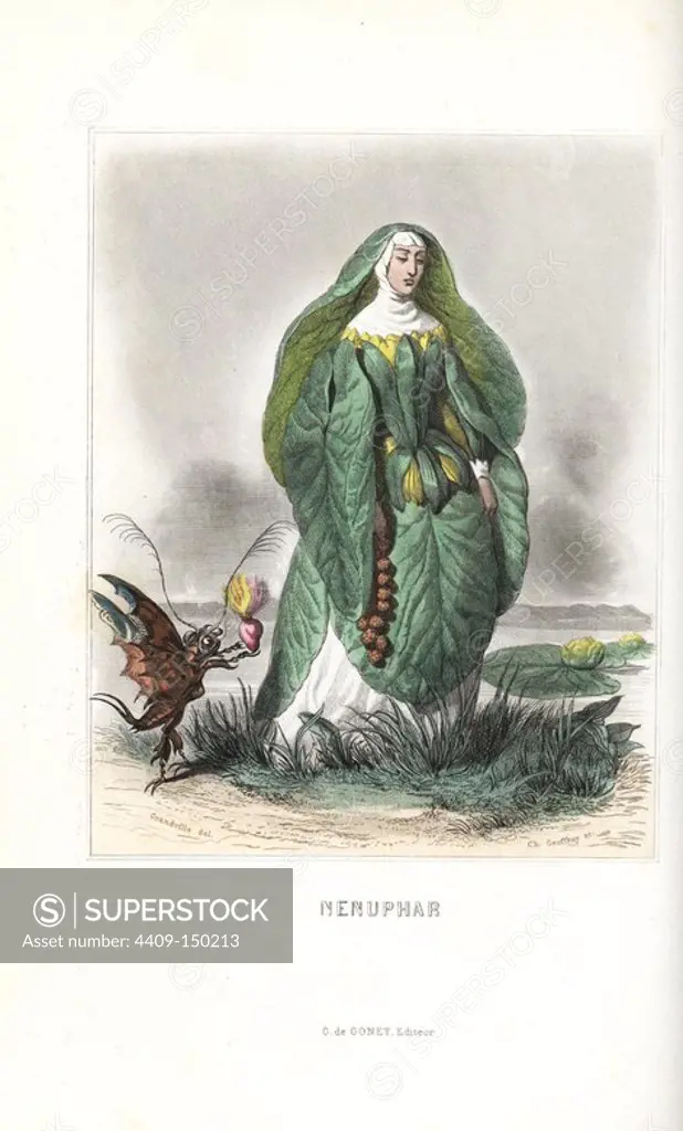 Waterlily, Nuphar lutea, flower fairy in nun's habit with wimple and veil of leaves, being offered a flaming heart by an insect. Handcoloured steel engraving by C. Geoffrois after an illustration by Jean Ignace Isidore Grandville from "Les Fleurs Animees," Paris, Gabriel de Gonet, 1847.
