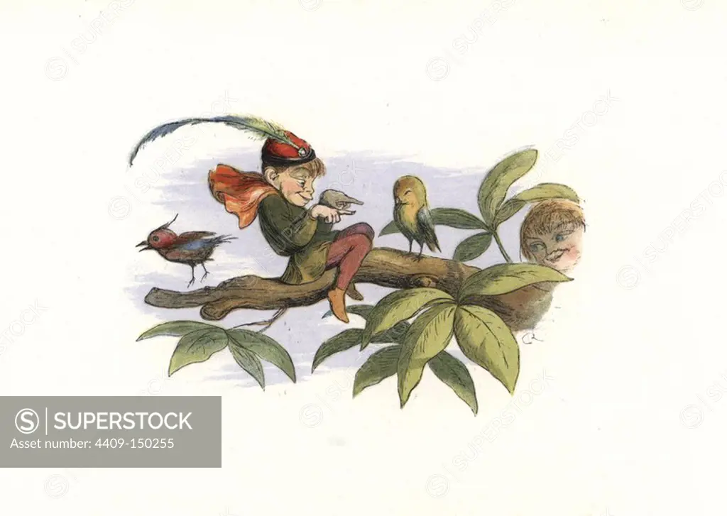 An elf teasing a little bird on a tree branch. Handcoloured woodblock print by Edmund Evans after an illustration by Richard Doyle from In Fairyland, a series of Pictures from the Elf World, Longman, London, 1870.
