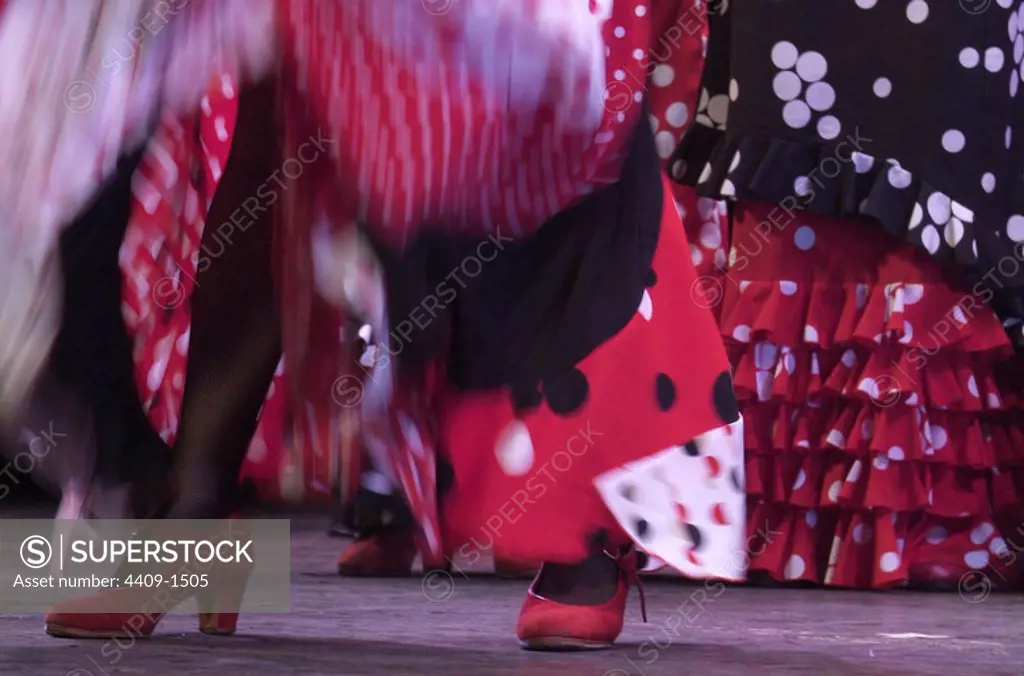 Photo detail of flamenco skirt and shoes.