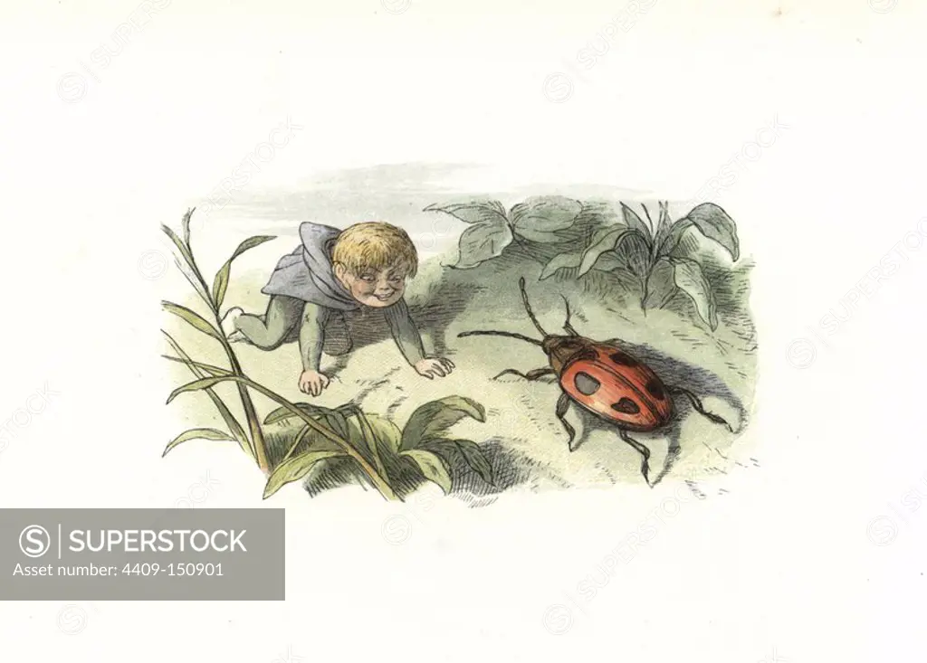 An elf surprising a beetle. Handcoloured woodblock print by Edmund Evans after an illustration by Richard Doyle from In Fairyland, a series of Pictures from the Elf World, Longman, London, 1870.