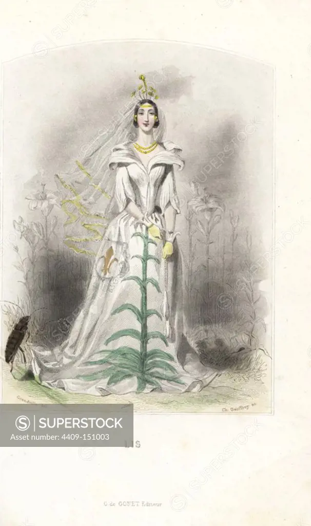 Lily flower fairy in white dress with veil, crown of stamens, pocket decorated with fleur de lis. Handcoloured steel engraving by C. Geoffrois after an illustration by Jean Ignace Isidore Grandville from "Les Fleurs Animees," Paris, Gabriel de Gonet, 1847.