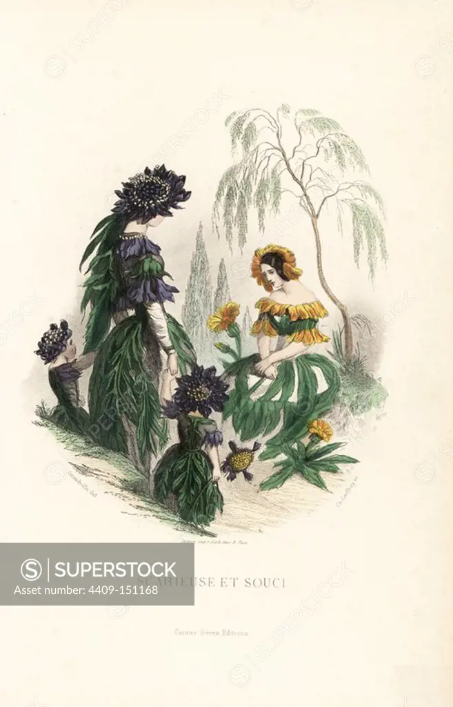 Sweet scabious, Scabiosa atropurpurea, and marigold, Calendula officinalis, flower fairies in flower headdress and dress of leaves and petals. Handcoloured steel engraving by C. Geoffrois after an illustration by Jean Ignace Isidore Grandville from "Les Fleurs Animees," Paris, Gabriel de Gonet, 1847.