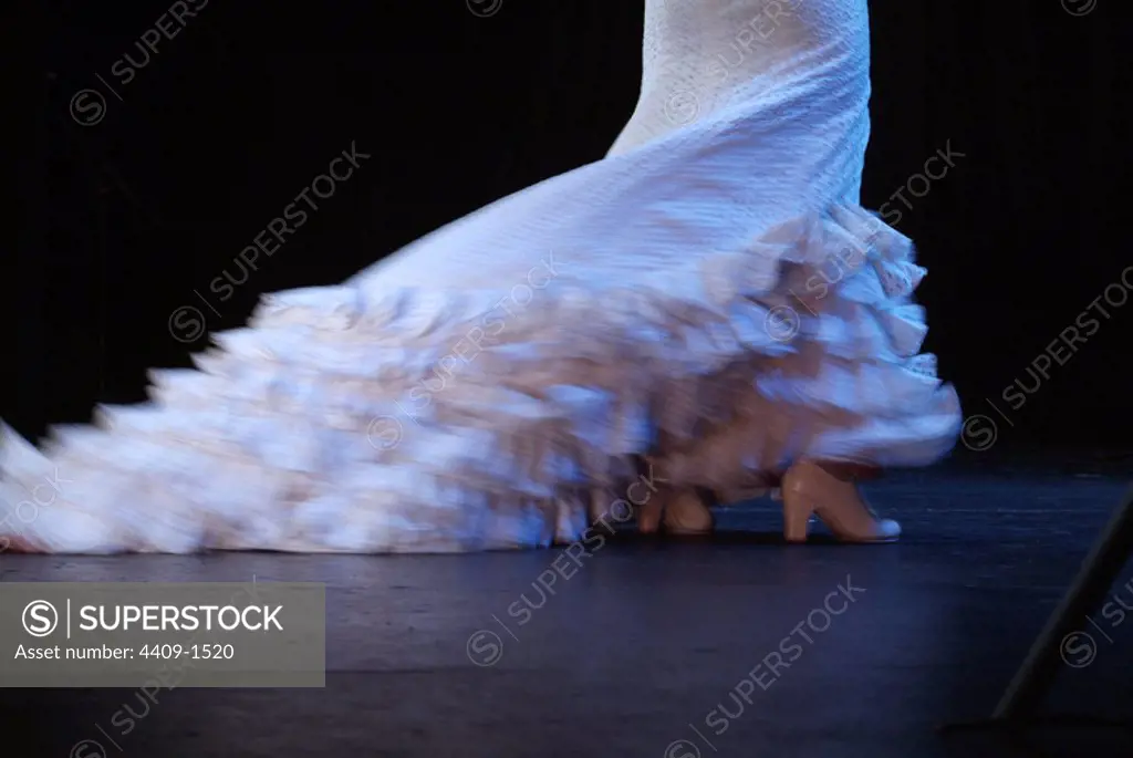 Flamenco's tail dress photo detail.