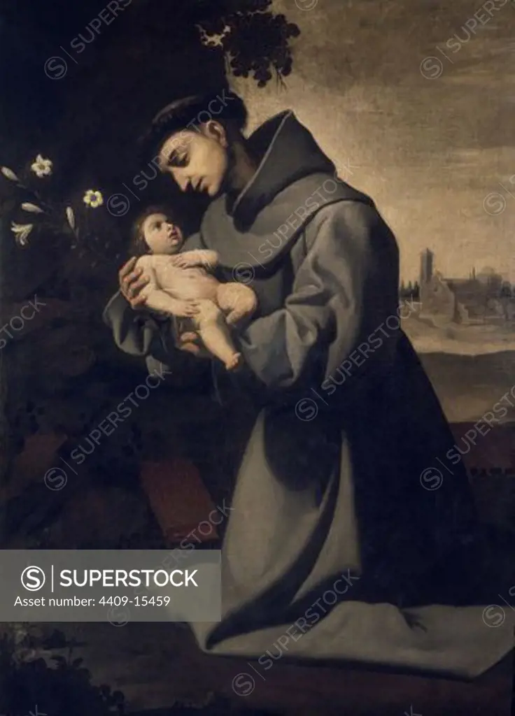 St. Anthony of Padua - 1635/50 - oil on canvas - 148x108 cm - Spanish Baroque - NP 3010. Author: ZURBARAN, FRANCISCO DE. Location: MUSEO DEL PRADO-PINTURA, MADRID, SPAIN. Also known as: SAN ANTONIO DE PADUA CON EL NIÑO JESUS.