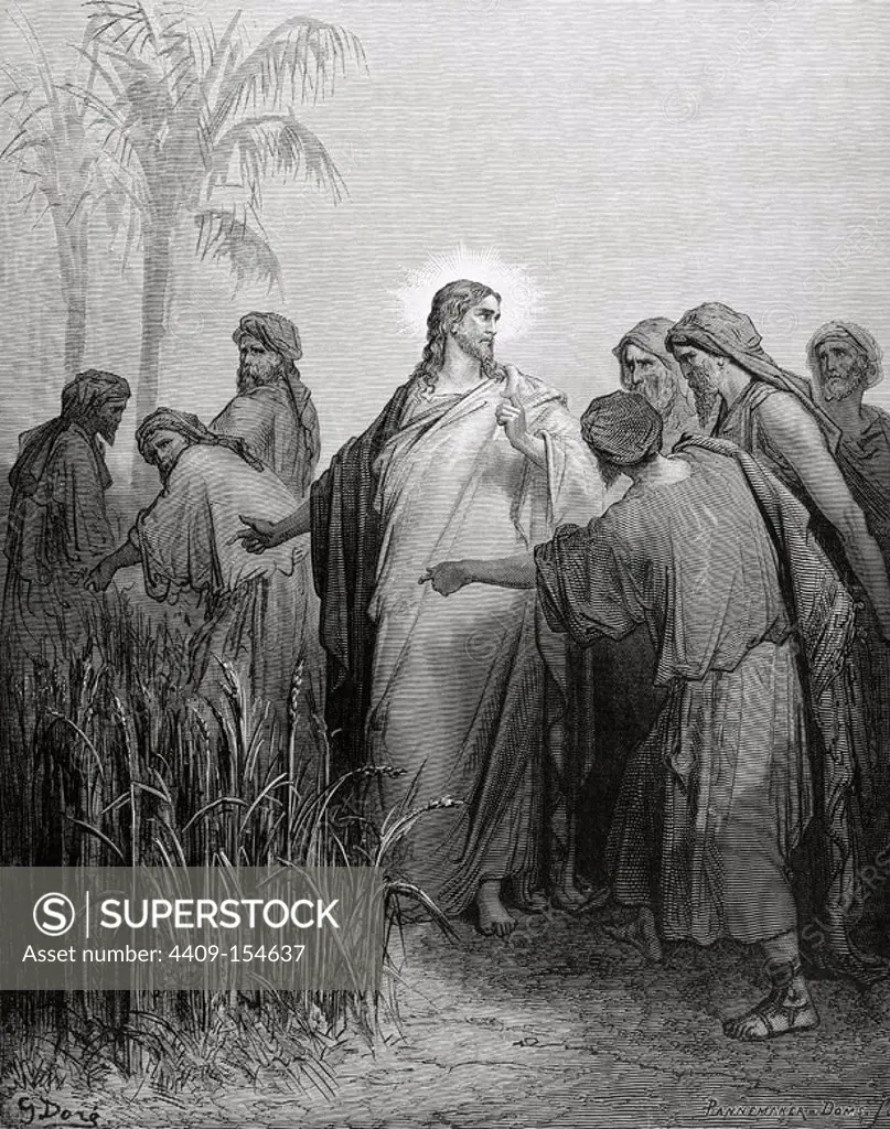 New Testament. Gospel of Matthew. Chapter XII. The apostles gathered ears in the day of rest. Gustave Dore's drawing. Engraving by Pannemaker.