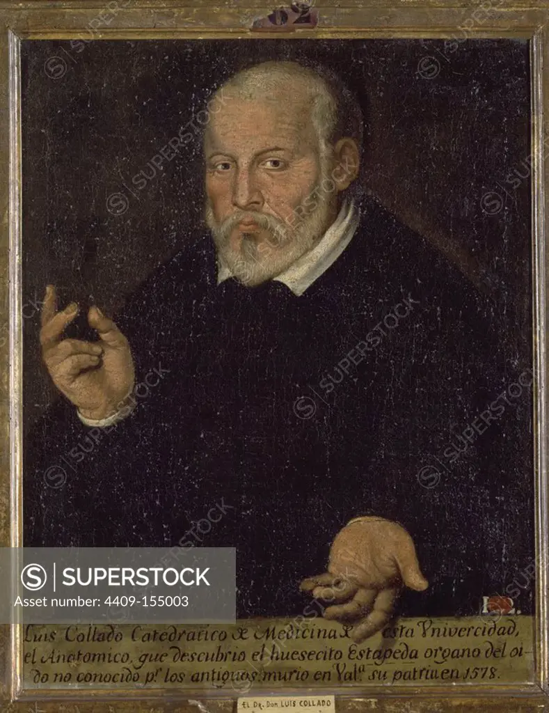 LUIS COLLADO, MEDICINE PROFESSOR (1520/1578) - PORTRAIT ATTRIBUTED TO JUAN RIBALTA. Location: MUSEO DE BELLAS ARTES-COLEGIO PIO V. Valencia. SPAIN.