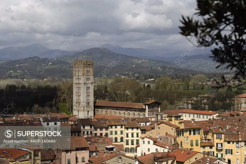 Italy. Lucca. Panorama of the old town with the Basilica of San Frediano, 12th century, from the Guinigi Tower.