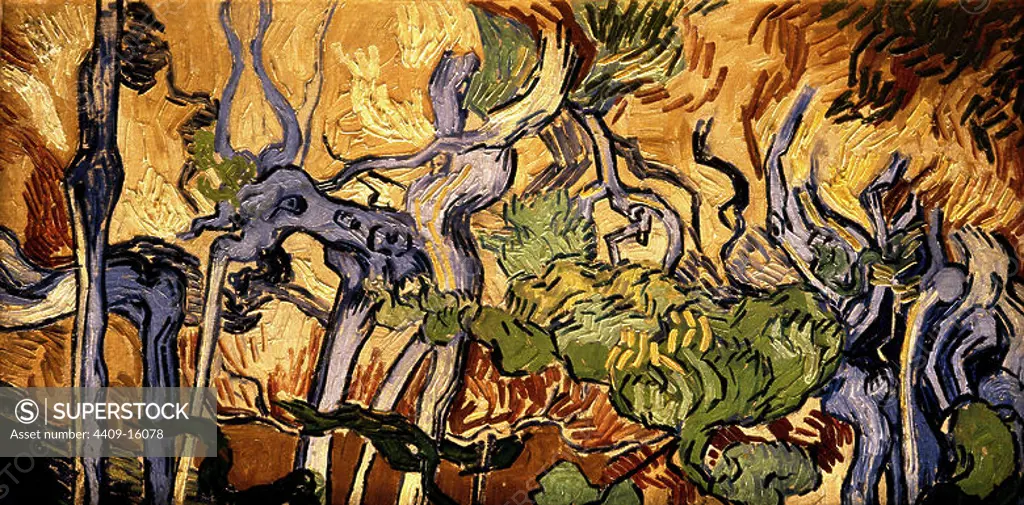 Dutch school. Tree Roots and Trunks. 1890. Oil on canvas (50 x 100 cm). Amsterdam, Van Gogh museum. Author: VICENT VAN GOGH (1853-1890). Location: MUSEO VAN GOGH. Amsterdam. HOLANDA.