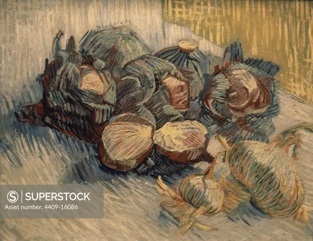 Dutch school. Still Life with Red Cabbages and Onions. 1887. Oil on canvas (50 x 64.5 cm). Amsterdam, Van Gogh museum. Location: MUSEO VAN GOGH, AMSTERDAM, HOLANDA.