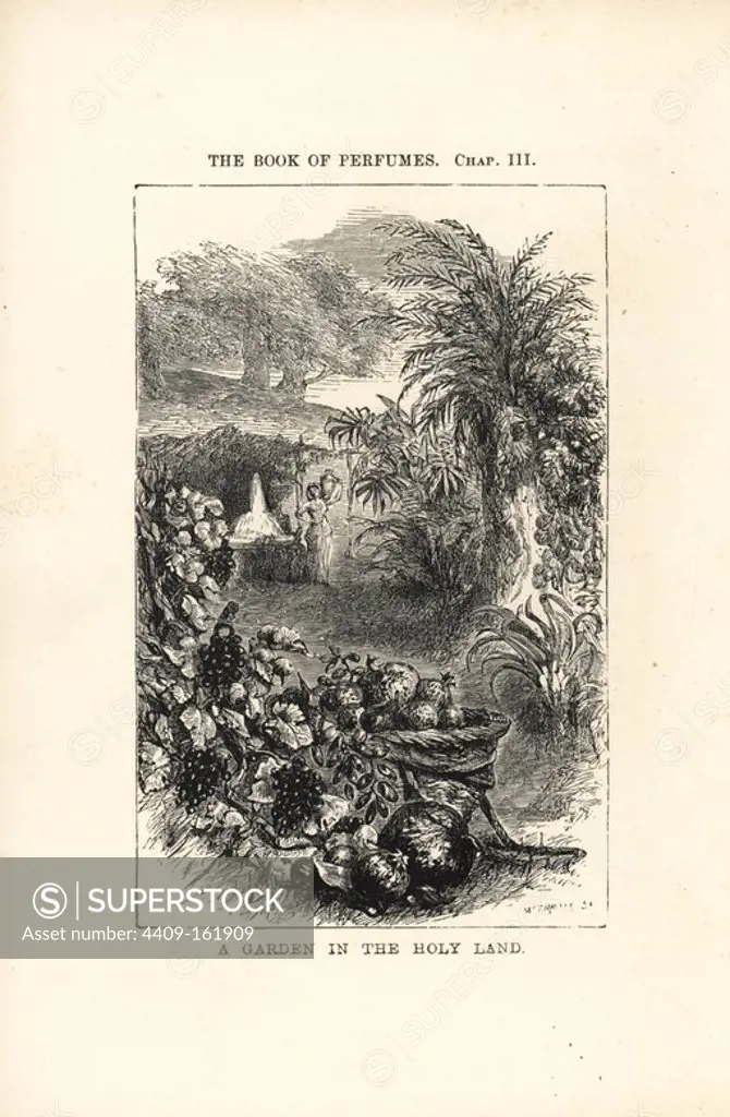 A garden in the holy land. Woodcut engraving by W. Thomas from Eugene Rimmel's The Book of Perfumes, London, Chapman and Hall, 1865.
