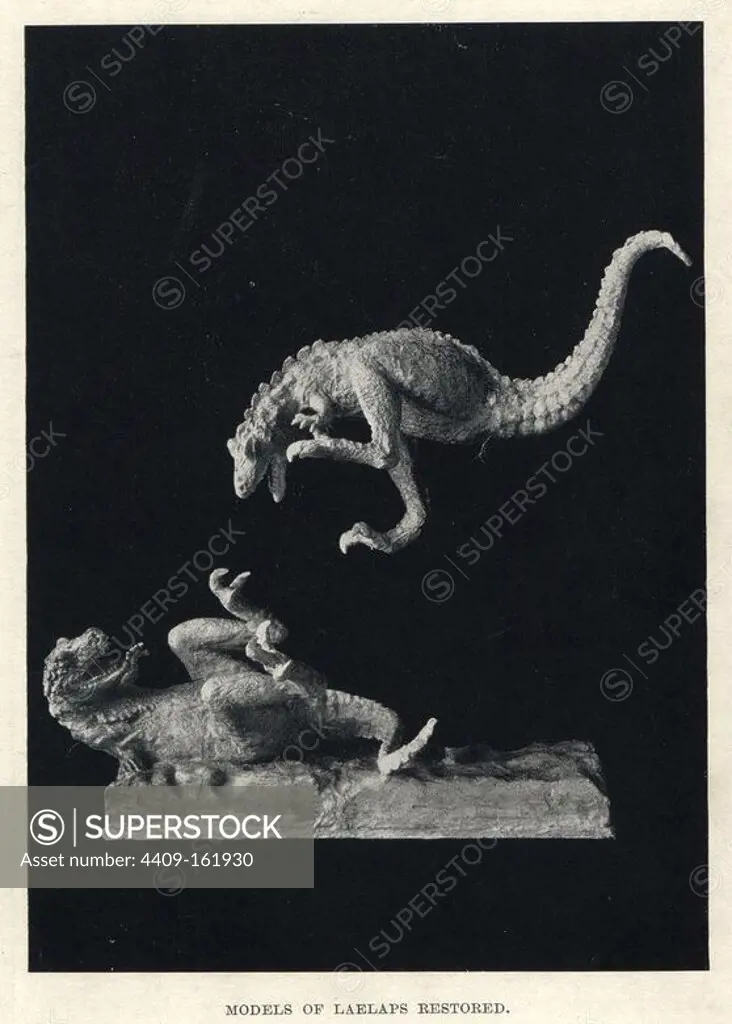 Models of fighting Laelaps, Dryptosaurus aquilunguis, based on Charles R. Knight's illustration. From H. N. Hutchinson's "Extinct Monsters and Creatures of Other Days," Chapman and Hall, London, 1897.