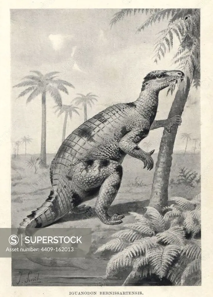 Iguanodon bernissartensis. Illustration by J. Smit from H. N. Hutchinson's "Extinct Monsters and Creatures of Other Days," Chapman and Hall, London, 1894.