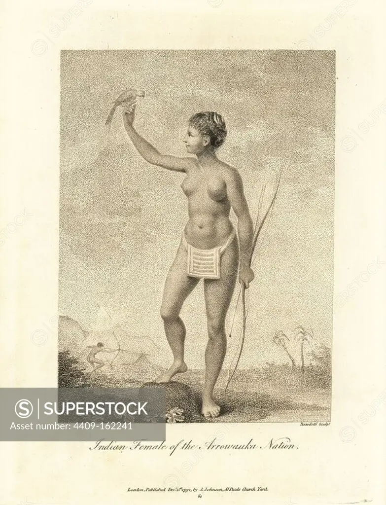 Indian Female of the Arrowauka Nation. Arawak woman with her hair braided, wearing only a beaded loincloth, holding a parrot in one hand, and bow and arrow in the other. Copperplate engraving by Benedetti after an original illustration by Captain John Gabriel Stedman from his "Narrative of a Five Years' Expedition against the Revolted Negroes of Surinam," J. Johnson, London, 1813.