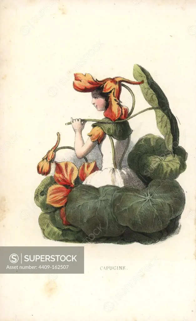 Garden nasturtium flower fairy, Tropaeolum majus, with petal hat and leaf umbrella. Handcoloured lithograph by Louis Lassalle from Louise Leneveux' Les Fleurs Parlantes (The Talking Flowers), Louis Janet, Paris, 1848.