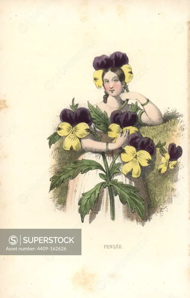 Pansy flower fairy, Viola tricolor. Handcoloured lithograph by Louis Lassalle from Louise Leneveux' Les Fleurs Parlantes (The Talking Flowers), Louis Janet, Paris, 1848.