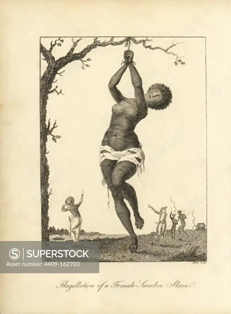 Flagellation of a Female Samboe Slave. A woman, naked except for a ragged loincloth, is tied to a tree for a whipping by her Dutch owners. Copperplate engraving by William Blake after an original illustration by Captain John Gabriel Stedman from his "Narrative of a Five Years' Expedition against the Revolted Negroes of Surinam," J. Johnson, London, 1813.