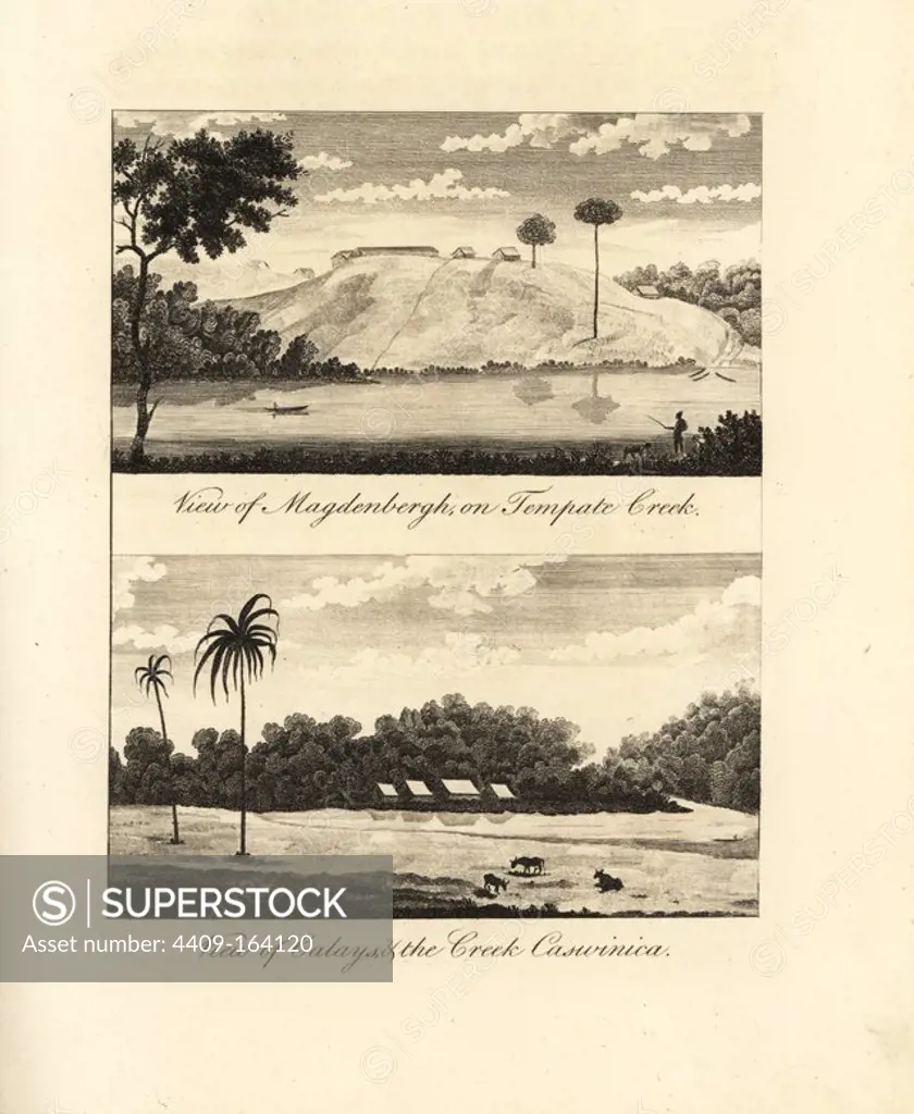 View of Magdenbergh on Tempate Creek and Calays and the Creek Caswinica. Copperplate engraving after an original illustration by Captain John Gabriel Stedman from his "Narrative of a Five Years' Expedition against the Revolted Negroes of Surinam," J. Johnson, London, 1813.