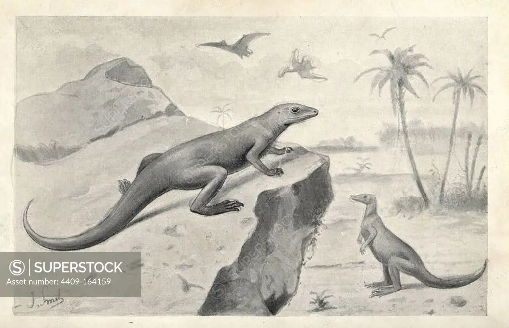 Hypsilophodon foxii dinosaurs and flying Pterodactyls, Cretaceous. Illustration by J. Smit from H. N. Hutchinson's "Extinct Monsters and Creatures of Other Days," Chapman and Hall, London, 1894.