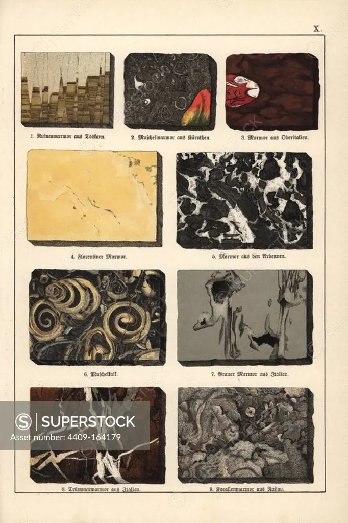 Varieties of marble including ruin marble, shell marble, coquina or shell limestome, shattered marble and coral marble. Chromolithograph from Dr. Aldolph Kenngott's "Mineralogy" section in Gotthilf Heinrich von Schubert's "Naturgeschichte," Schreiber, Munich, 1886.