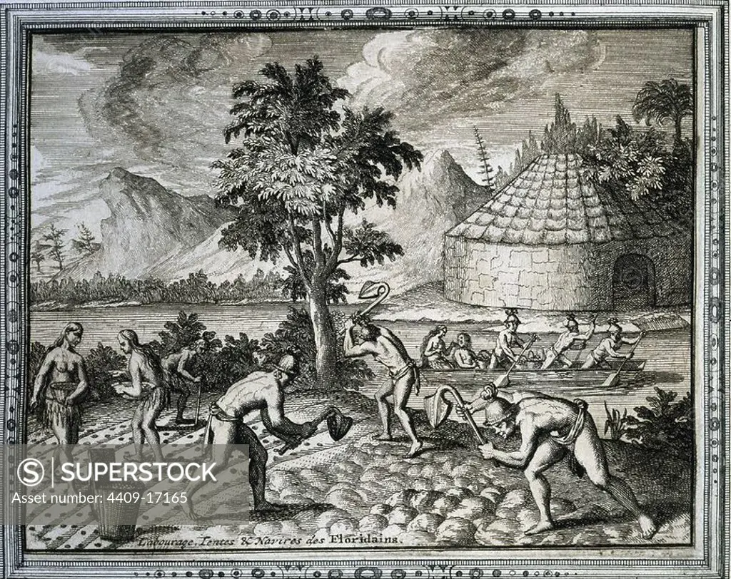 WEST INDIA TRAVELS, 1590. INDIANS OF PERU. PEASANTS SOWING. ENGRAVING 16TH CENTURY. Author: THEODORE BRY (1528-1598). Location: BIBLIOTECA NACIONAL-COLECCION. MADRID. SPAIN.