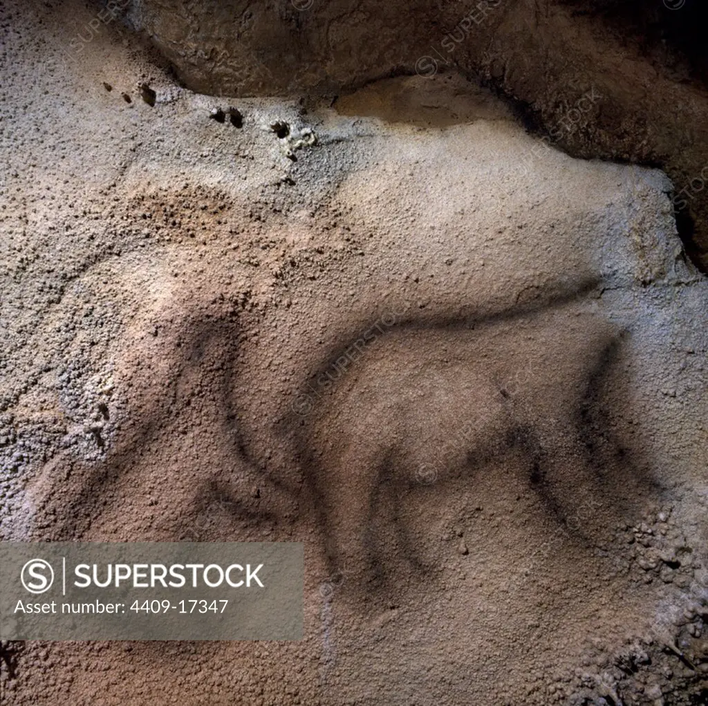 INTERIOR- PINTURAS RUPESTRES- OSOS PARDOS O DE LAS CAVERNAS DE LA CUEVA DE EKAIN - PALEOLITICO SUPERIOR - 13500-8500 AC. Location: CUEVA DE EKAIN. DEBA / DEVA. Guipuzcoa. SPAIN.