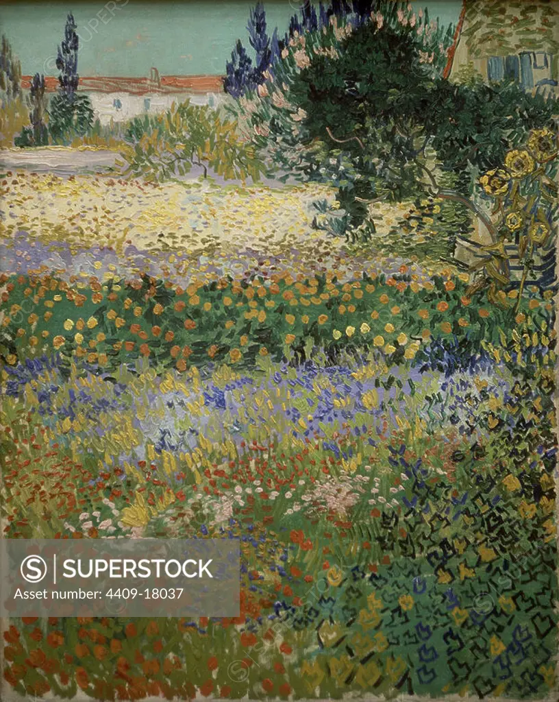 Garden in Bloom, Arles - 1888 - oil on canvas - 92x73 cm. Author: VICENT VAN GOGH (1853-1890). Location: METROPOLITAN MUSEUM OF ART. NEW YORK.