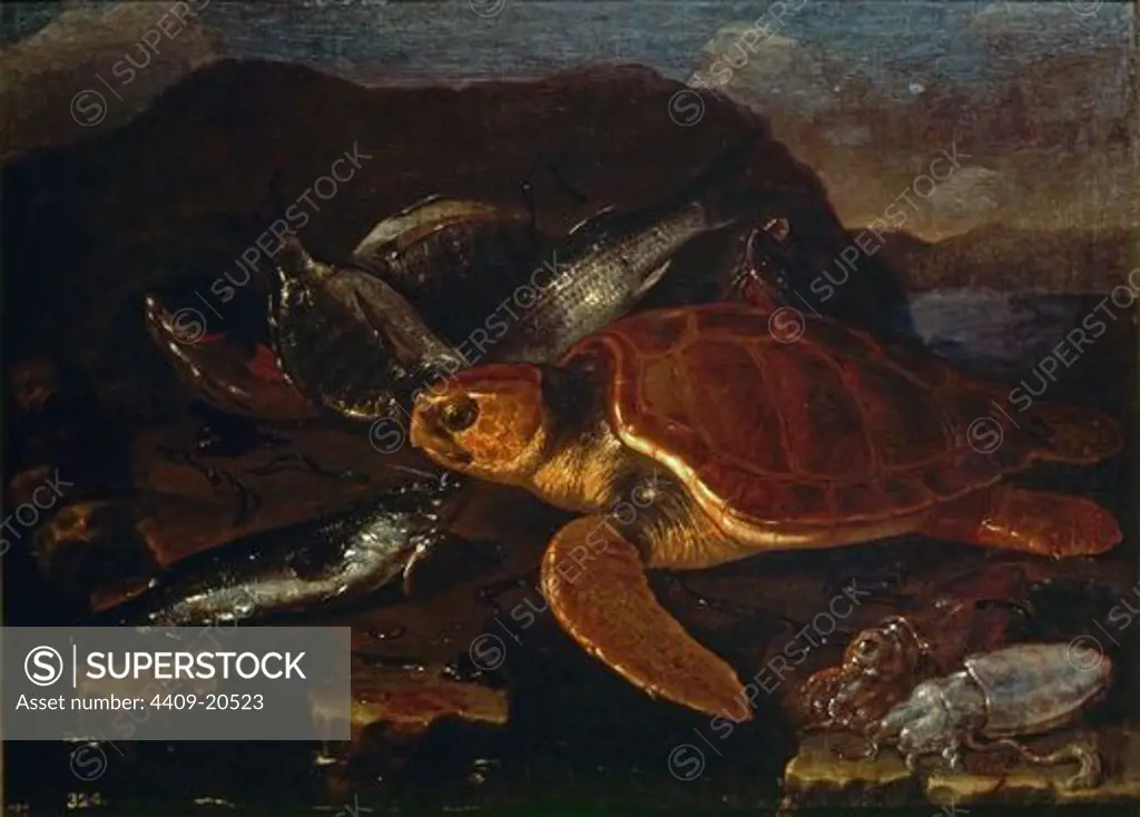 Still Life With Fish and Turtle. 17th century. 75x91 cm. Madrid, Prado museum. Spain. Author: RECCO, GIUSEPPE. Location: MUSEO DEL PRADO-PINTURA, MADRID, SPAIN.