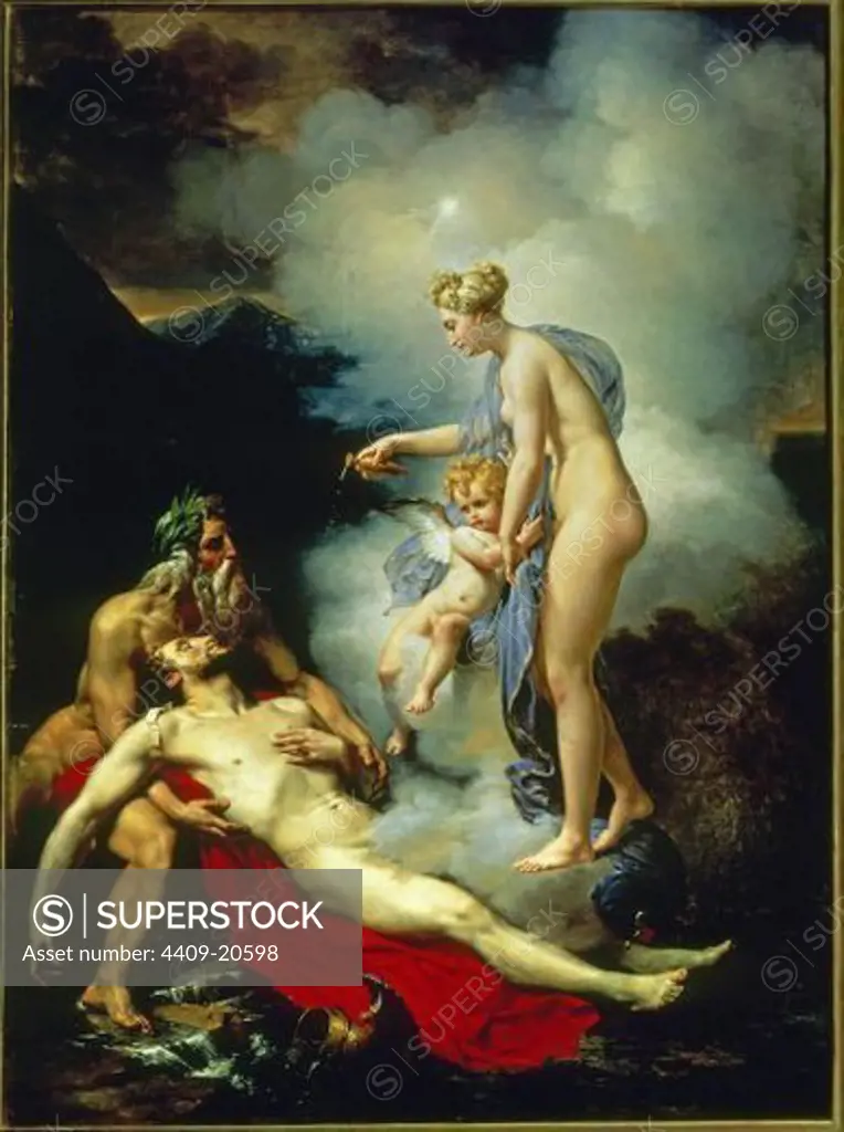 French School. Venus curing Aeneas. Venus curando a Eneas. Oil on canvas (127 x 96 cm). Madrid, El Prado. Author: ANONIMO FRANCES. Location: MUSEO DEL PRADO-PINTURA, MADRID, SPAIN.