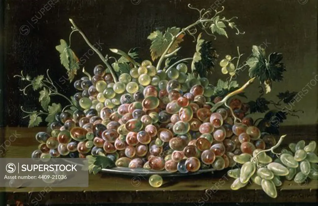 Still Life with a plate of grapes - 1771 - 42x62 cm - oil on canvas - Spanish Baroque - NP 904. Author: MELENDEZ, LUIS. Location: MUSEO DEL PRADO-PINTURA, MADRID, SPAIN. Also known as: FRUTERO CON UVAS BLANCAS Y TINTAS; NATURE MORTE AVEC UN PLAT DE RAISINS.