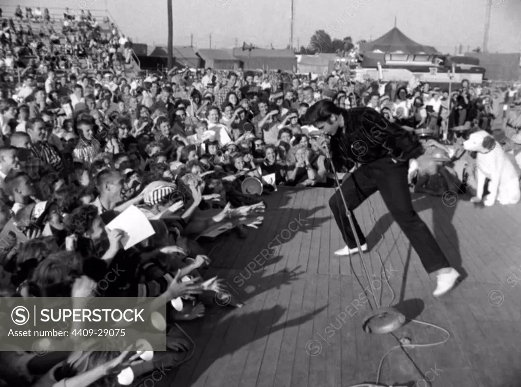 The American singer Elvis Presley performing for a large crowd of fans in 1957.