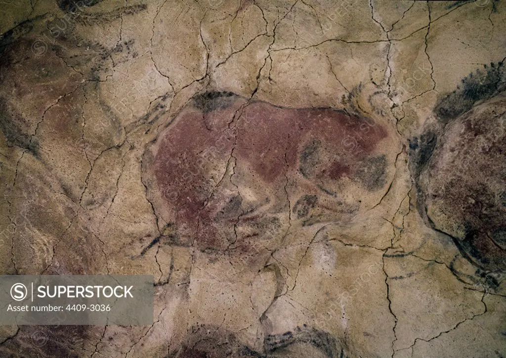 Bison. Cave painting from Altamira. Upper Paleolithic Period. Location: CUEVAS DE ALTAMIRA. SANTILLANA DEL MAR. SPAIN.
