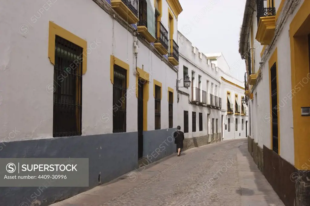 Jewish quarter. Cordova City. Andalusia. Spain.