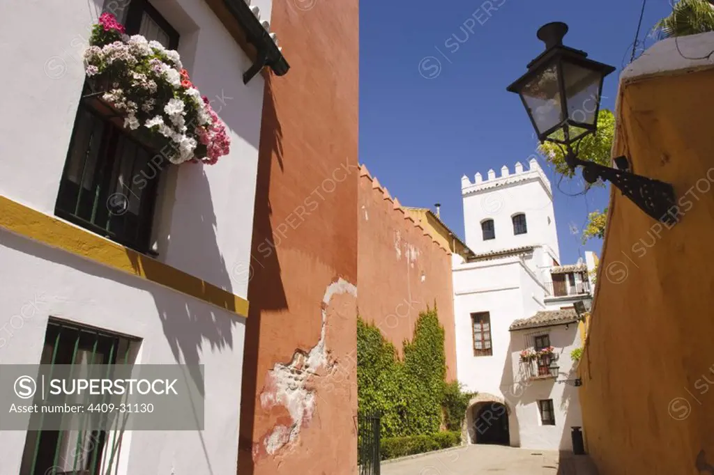 Jewish quarter. Sevilla City. Andalusia. Spain.