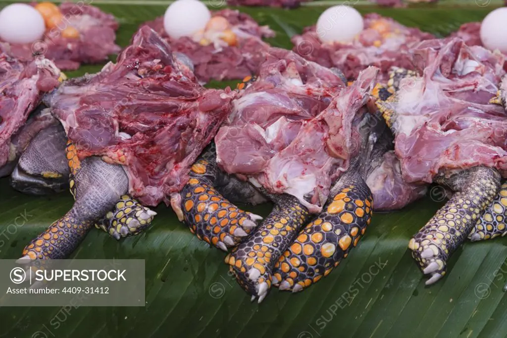 Turtle meat. Market of Belen. Iquitos. Loreto. Peru.