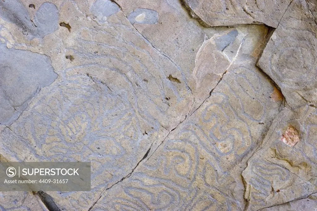 Petroglyph in El Paso. La Palma. Canary Island. Spain.