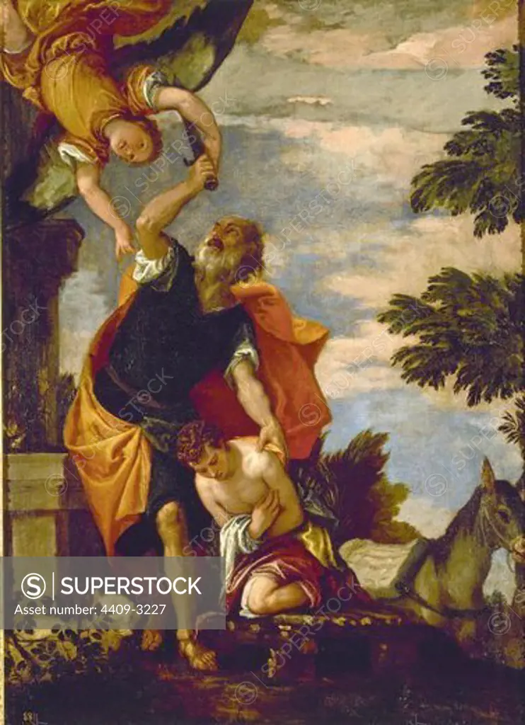 Abraham's Sacrifice. 1560. Oil on canvas (129x95). Italian Renaissance. Madrid, Prado museum. Author: VERONES PABLO / VERONESE PAOLO. Location: MUSEO DEL PRADO-PINTURA, MADRID, SPAIN.