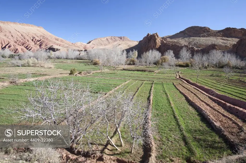 Dades Valley. Morocco.
