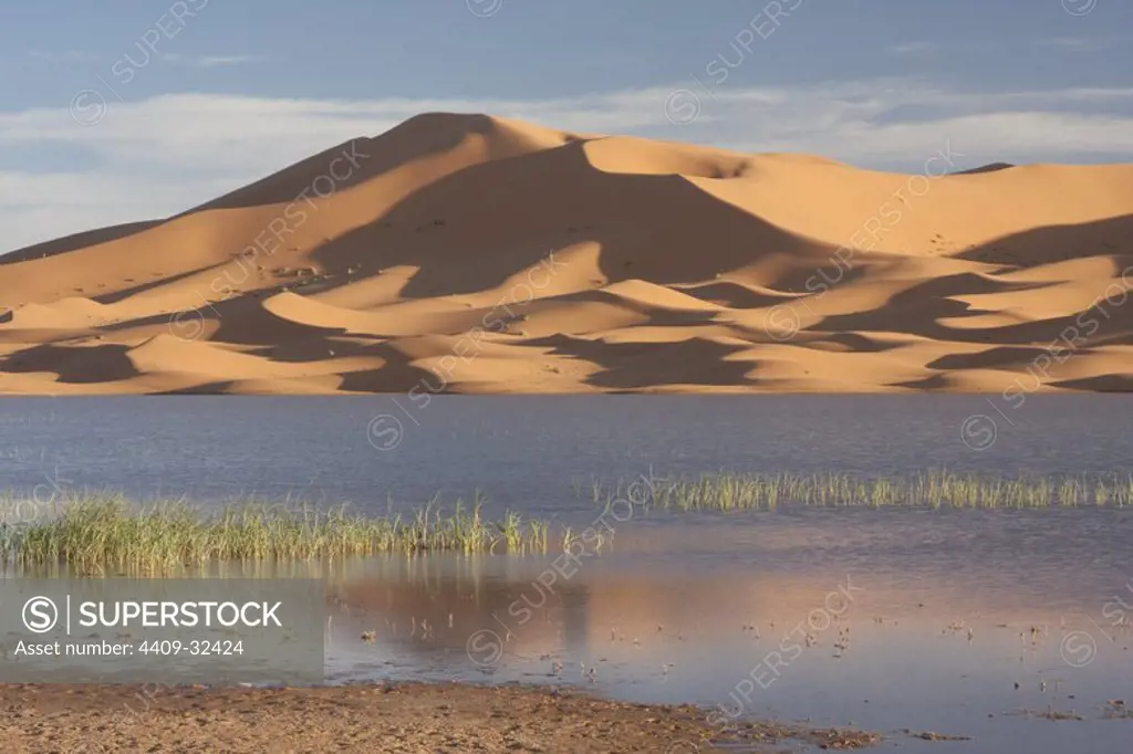 Dunes in Erg Chebbi desert. Morocco.