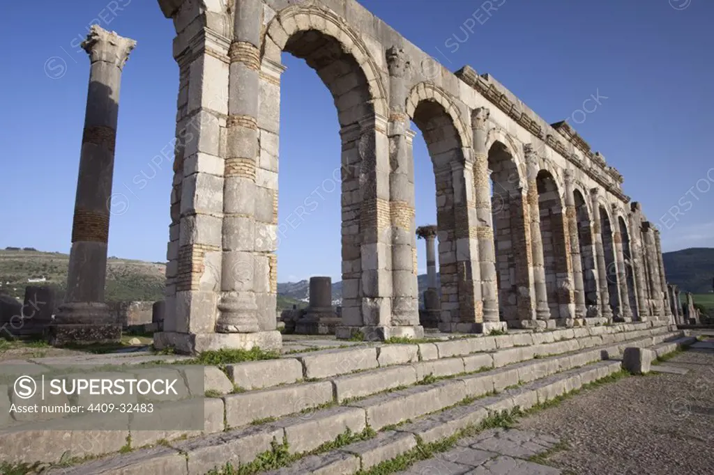 Roman ruins of Volubilis. Morocco.