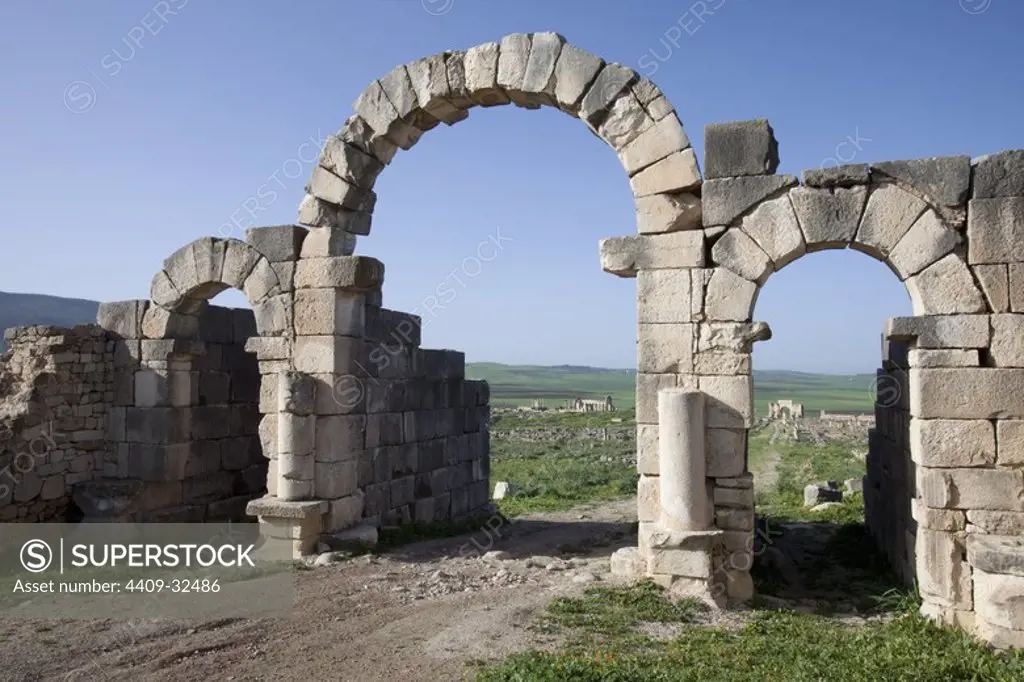 Roman ruins of Volubilis. Morocco.