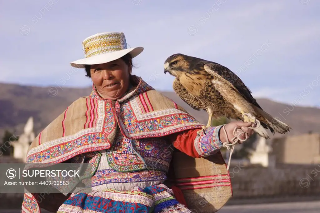 Woman with Red-backed Hawk (Buteo polyosoma). Village of Yanque. Arequipa Departament. Peru.
